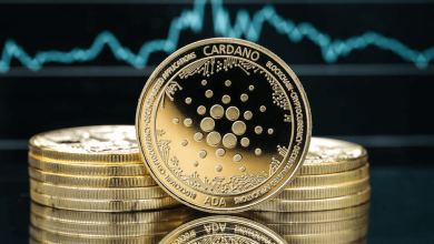 cardano-(ada)-might-lose-20%-of-its-price-by-the-coming-week,-option2trade-(o2t)-stage-1-80%-completed