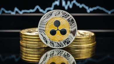 market-reactions-to-xrp’s-surge:-investor-insights-and-predictions